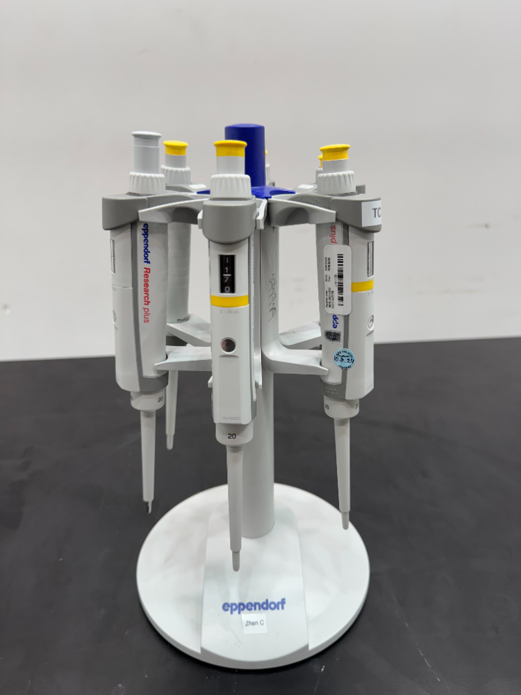 Image of Eppendorf Single Chanel Pipets; Quantity: 6